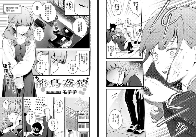 籠鳥姦猿のエロ画像